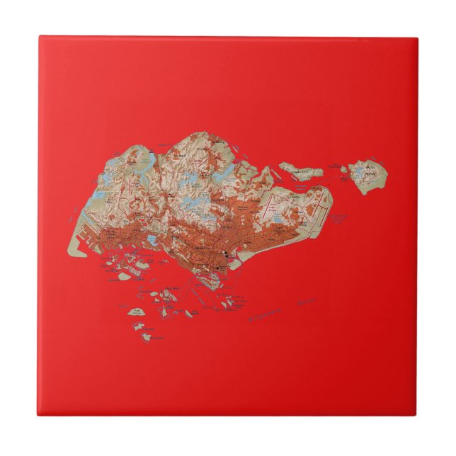 Singapore Map Tile (Front)