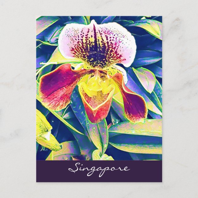 Singapore Orchid travel South East Asia Postcard (Front)