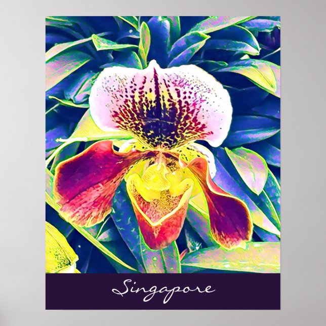 Singapore Orchid travel South East Asia Poster (Front)