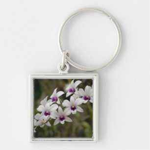 Singapore (Sanskrit for Lion City). National 2 Key Ring
