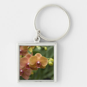 Singapore Sanskrit for Lion City). National 2 Key Ring