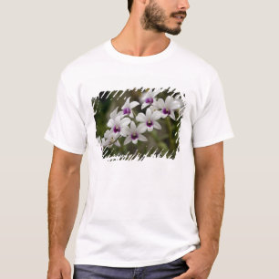 Singapore (Sanskrit for Lion City). National 2 T-Shirt