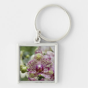 Singapore (Sanskrit for Lion City). National Key Ring