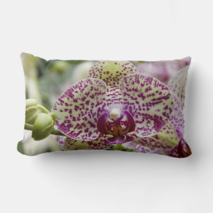 Singapore (Sanskrit for Lion City). National Lumbar Cushion