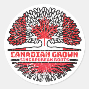 Singapore Singaporean Canadian Canada Tree Roots Classic Round Sticker