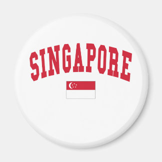 Singapore Style Magnet