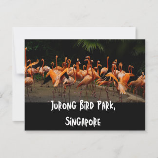Singapore Travel Postcard