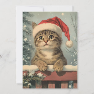 Singapura Cat Christmas Holiday Card