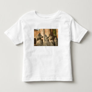 Singhat Wat Thammikarat Toddler T-Shirt