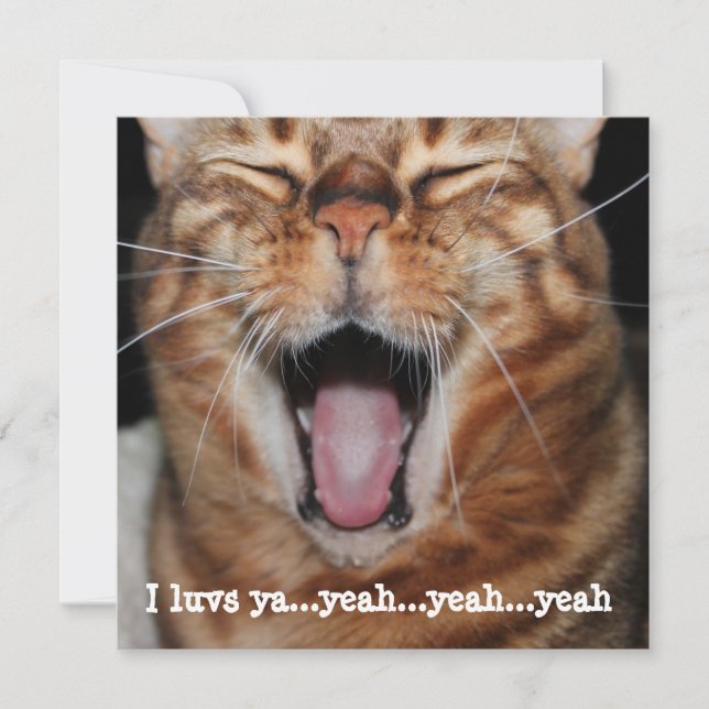 Singing Bengal Cat Birthday Valentine Mothers Day Holiday Card (Front)