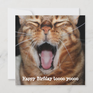Singing Bengal Cat "Happy Birfday.." Birthday Card