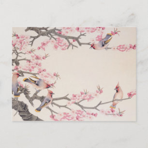 Singing Birds in Spring Postcard