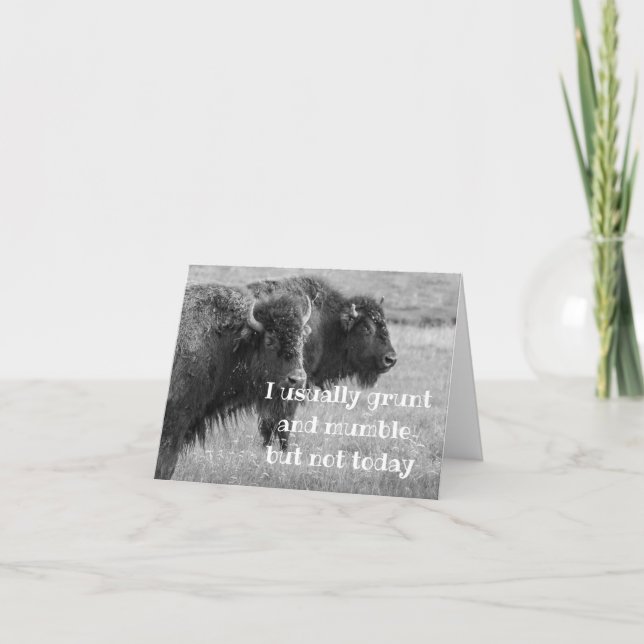 SINGING BUFFALO  ***HAPPY BIRTHDAY*** CARD (Front)