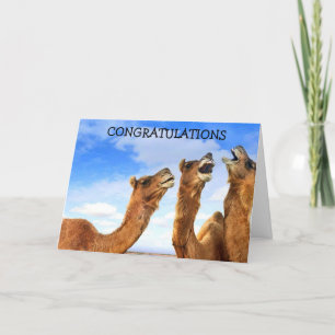 SINGING CAMELS SAY "CONGRATULATIONS" IN UNI-SONG! CARD
