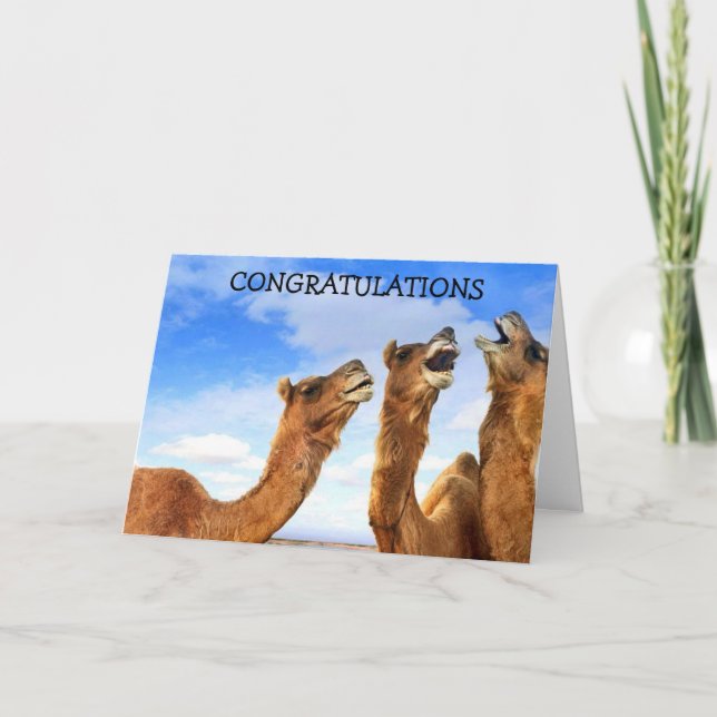 SINGING CAMELS SAY "CONGRATULATIONS" IN UNI-SONG! CARD (Front)