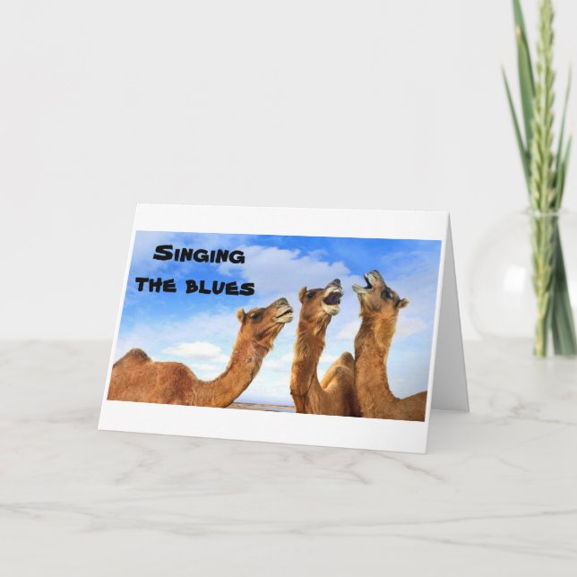 SINGING CAMELS SING THE BLUES-GET WELL CARD (Front)