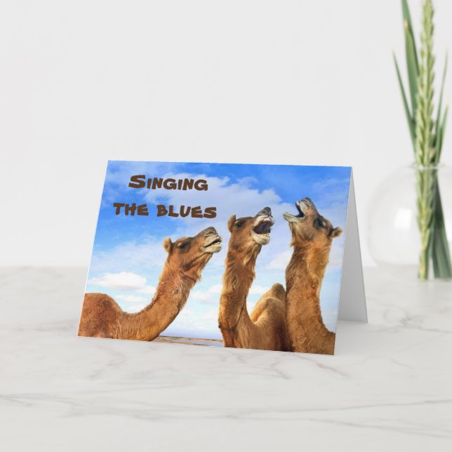 SINGING CAMELS SING THE BLUES-GET WELL CARD (Front)