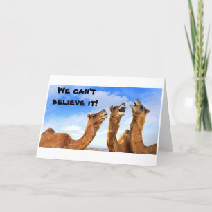 SINGING CAMELS SING THE BLUES-GET WELL CARD