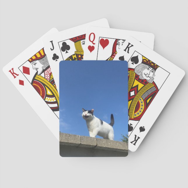 Singing Cat Playing Cards Singing Cat (Back)