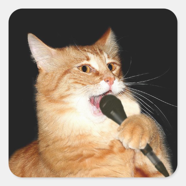 Singing cat square sticker (Front)