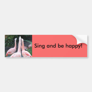 Singing Flamingos Bumper Sticker