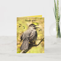 Singing Grey Catbird Thank You Card