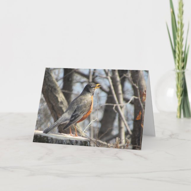 "Singing Lakeside Robin" Easter Card (Front)