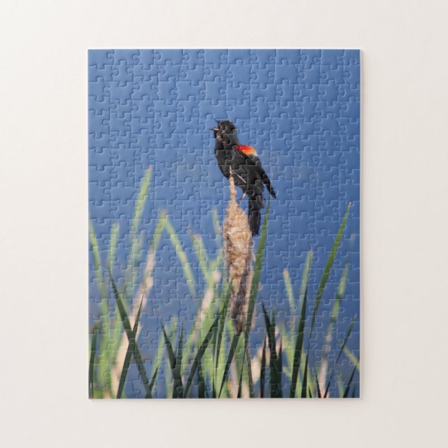 Singing Red-Wing Blackbird puzzle (Vertical)