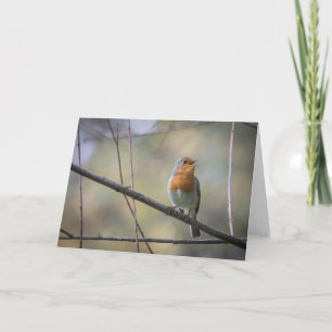 Singing Robin Card