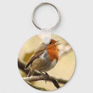Singing Robin Key Ring