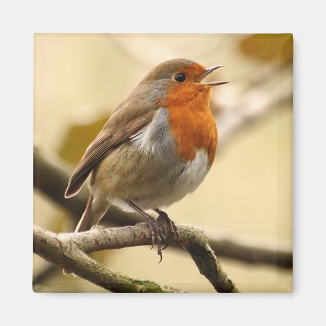 Singing Robin Magnet (Front)