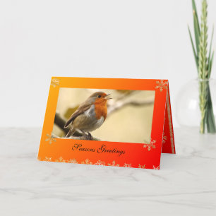 Singing Robin Template Christmas Card