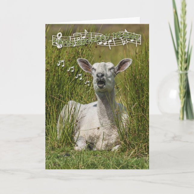 Singing Sheep Birthday Greeting Card, Happy Birth Card (Front)