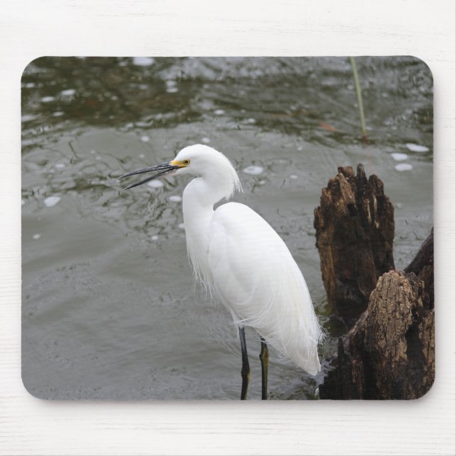 Singing Snowy Egret Mouse Pad (Front)
