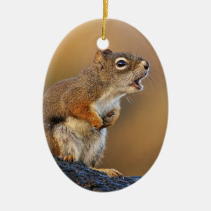 Singing Squirrel Ceramic Tree Decoration