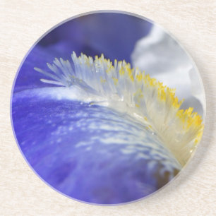 Singing the Blues! Coaster