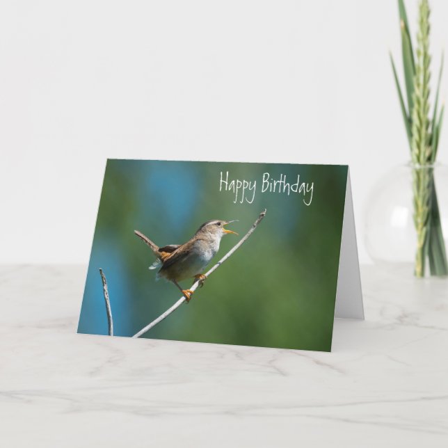 Singing wren greeting card (Front)