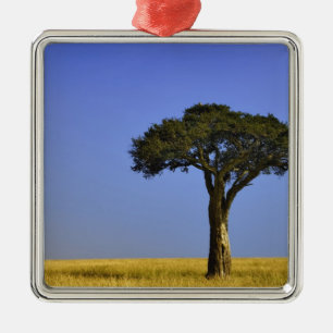 Single Acacia tree on grassy plains, Masai Mara, Metal Ornament