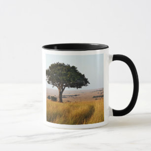 Single acacia tree on grassy plains, Masai Mara, Mug