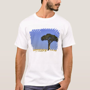 Single Acacia tree on grassy plains, Masai Mara, T-Shirt