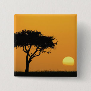 Single Acacia tree silhouetted at sunrise, Masai 15 Cm Square Badge