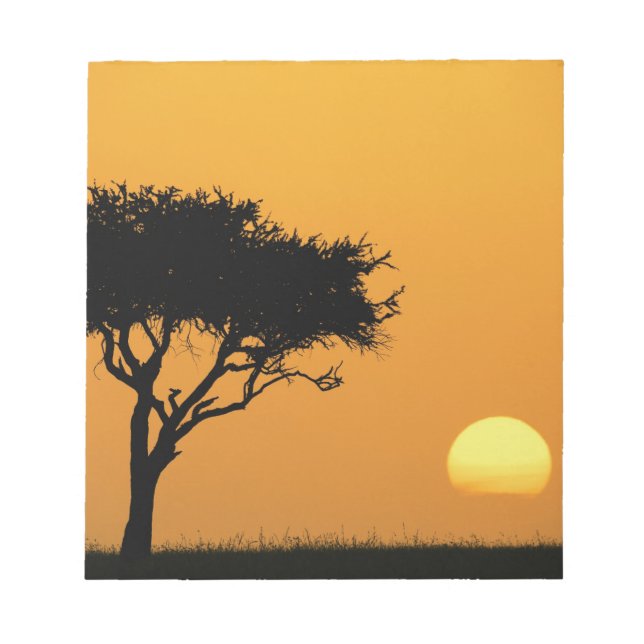 Single Acacia tree silhouetted at sunrise, Masai Notepad (Front)