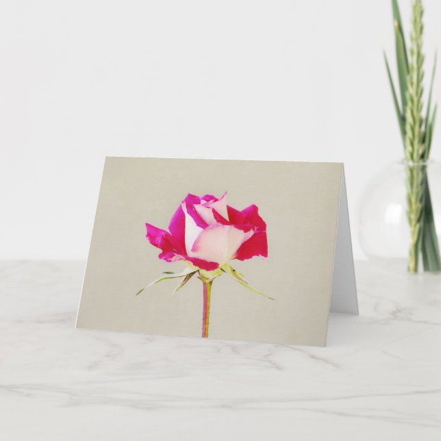 Single Artsy Pink Rose Art Note Card (Front)