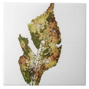 Single autumn leaf printed in realistic greens ceramic tile