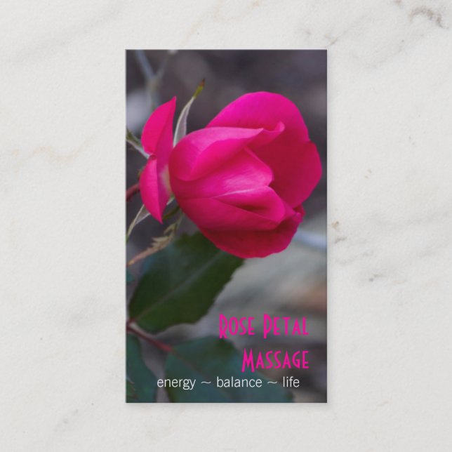 Single Bending Pink Rose Photograph Appointment (Front)