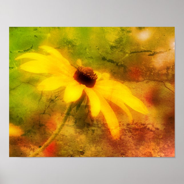 Single Black Eyed Susan Daisy Abstract Grunge Poster (Front)