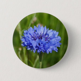 Single Blue Cornflower in green English Meadow 6 Cm Round Badge