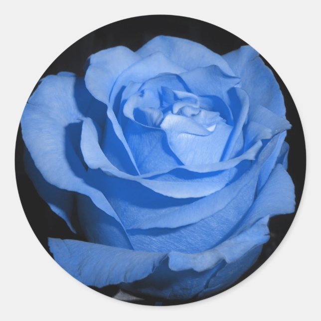 Single Blue Rose Classic Round Sticker (Front)