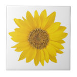 Single Bright Yellow Sunflower Ceramic Tile<br><div class="desc">A close-up photo of a bright yellow sunflower on white background.</div>