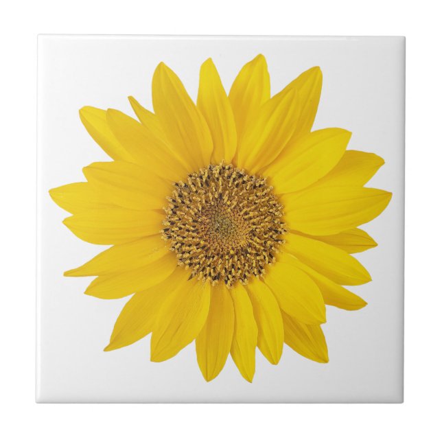 Single Bright Yellow Sunflower Ceramic Tile (Front)
